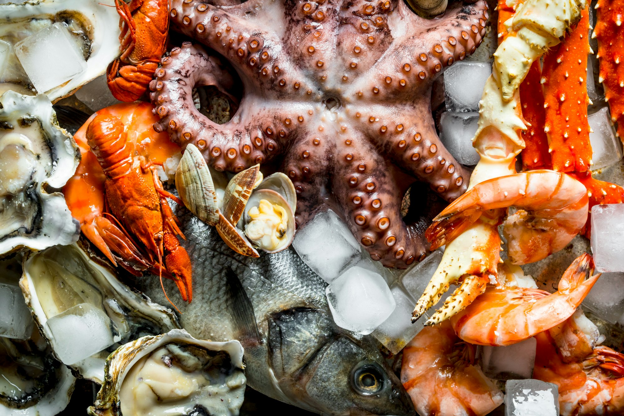 Various seafood with ice cubes.